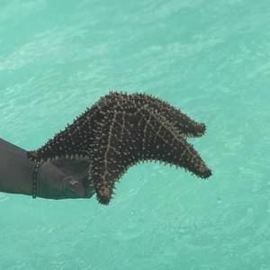 Meet your Posher, Mari